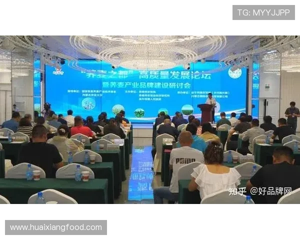 河津企业家引领地方产业升级助推区域经济高质量发展路径研究 河津企业家引领地方产业升级助推区域经济高质量发展路径研究