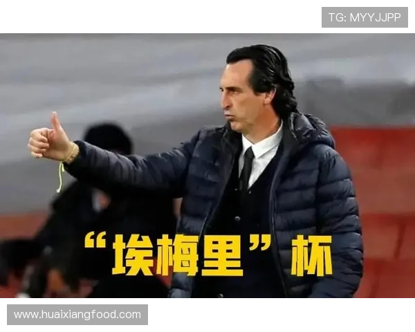 埃梅里立志全力冲击欧联杯冠军